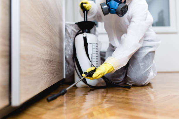 Best Pest Prevention Services  in Five Points, OH