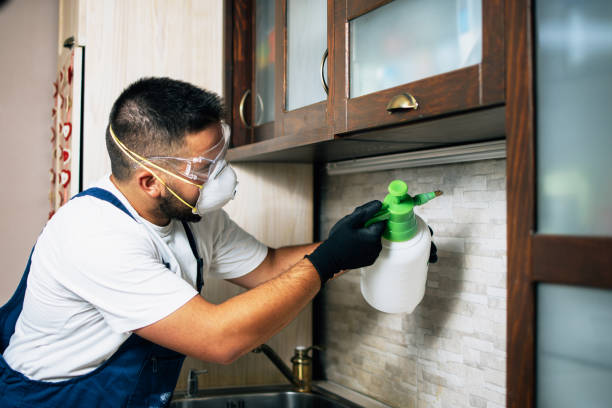 Best Termite Control Services  in Five Points, OH