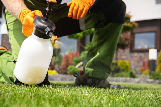 Best Pest Removal Services  in Five Points, OH