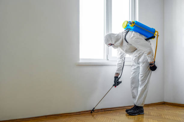 Best Best Pest Control Companies  in Five Points, OH