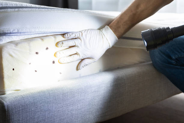  Five Points, OH Pest Control Pros