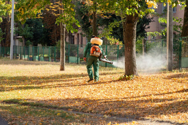Best Termite Control Services  in Five Points, OH