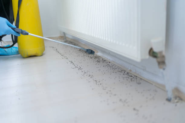 Best Pest Inspection Near Me  in Five Points, OH