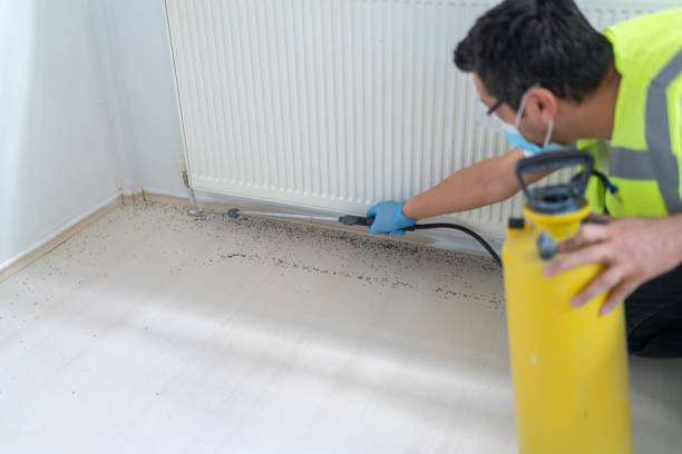 Best Pest Control for Homes  in Five Points, OH
